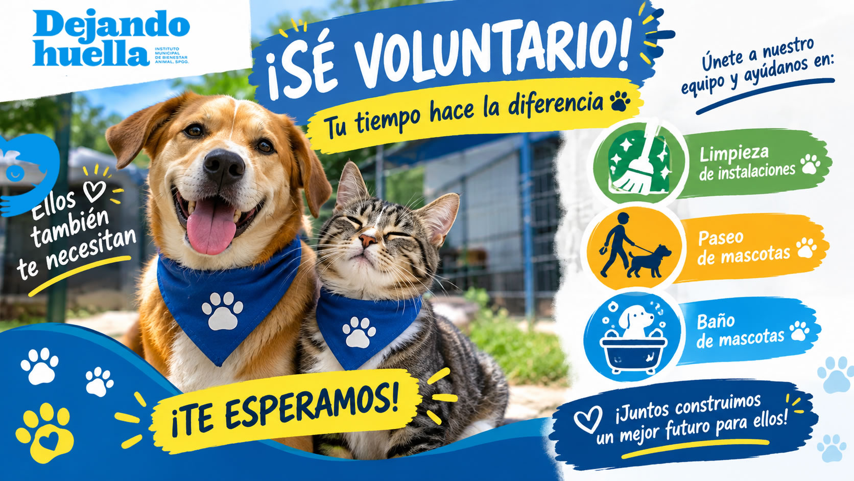 Publicidad 1