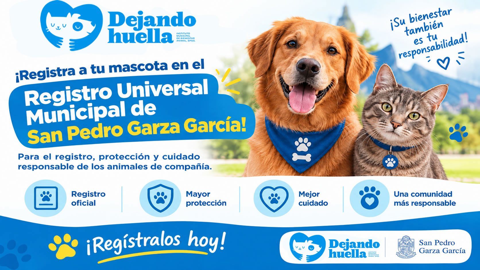 Publicidad  